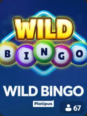 Wild Bingo portada de juego BC Game Venezuela