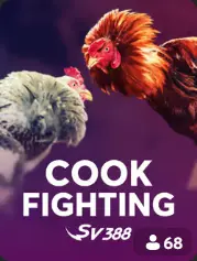 Cock Fighting portada de juego BC Game Venezuela